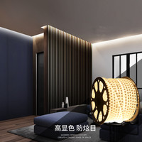 奥朵灯带led三色超亮家用变色跑马霓虹灯条户外防水吊顶线灯220v 灯带配件包（含电源插头等，灯带分几段买几个）抢 其它 其它
