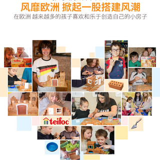德国teifoc儿童积木拼装房屋模型搭建玩具手工男孩女6岁礼物益智 歌德别墅2合1