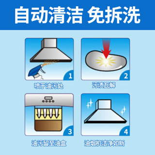 蓝月亮 强力型油污克星清洗剂 500g/瓶  24瓶/箱