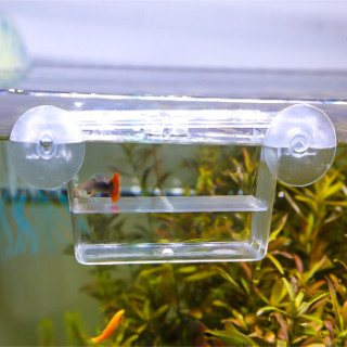 疯狂水草鱼缸隔离盒水族箱繁殖盒孔雀鱼孵化盒热带鱼产卵bb 02 报价价格评测怎么样 什么值得买