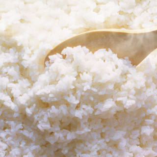 老大同 武育粳大米10KG软香稻米香型软米粳米珍珠米粥米20斤