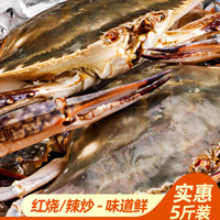 东半山 舟山海鲜 5-9两/只 特大野生梭子蟹 4-6只 1.5kg