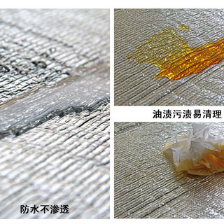 Tundra 苔原地带 防潮垫户外防水防潮野餐垫草地垫子单人双人多人春游户外垫铝膜垫