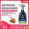 Astonish 墙体除霉剂 750ml