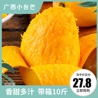 百果笑  广西芒果 小台芒 10斤