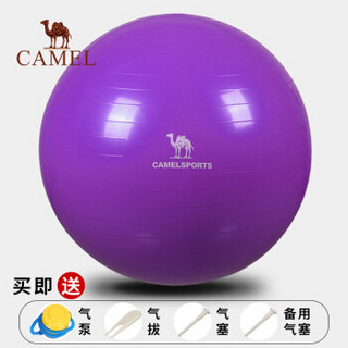 骆驼（CAMEL）瑜伽球 加厚防爆减肥瘦身健身球儿童孕妇分娩球平衡瑜珈球 Y8S3D7602/A7S3D7102 紫色 65cm