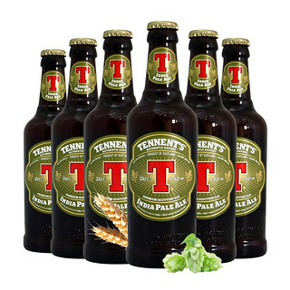  TENNENT'S IPA啤酒  500ml*6 包装