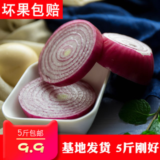 zaozuo