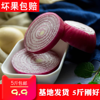 能量主宰 紫皮洋葱 5斤