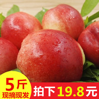 农家鲜果园 黄心大油桃 5斤