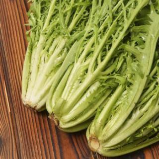 沱沱工社 有机苦苣 约200g 新鲜蔬菜