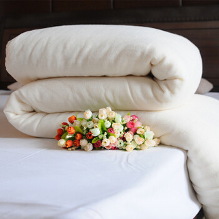 Aobaojia 床上用品 1.5*2M 棉胎 3㎏ 土产棉 定制款