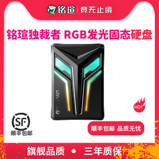 MAXSUN 铭瑄 独裁者F7 RGB SATA3 固态硬盘 240GB