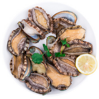 渔传播 FISHERY PROPAGATION 山东青岛鲜活鲍鱼 500g 12头 盒装 海鲜水产 火锅食材