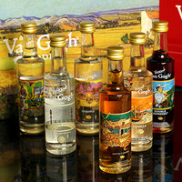  Van Gogh Vodka梵高油画系列伏特加酒 50ml*6瓶