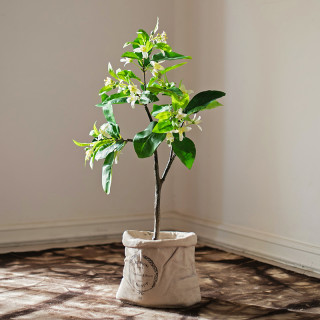 Juhan 掬涵仿真花卉 掬涵仿真大型柚子花树盆景栀子花绿植北欧室内落地植物盆栽装饰 报价价格评测怎么样 什么值得买