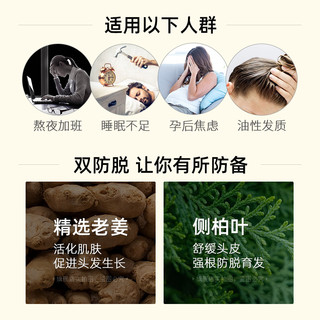 琴叶 生姜洗发水防脱控油洗护套装 老姜王大容量去屑姜汁洗发露