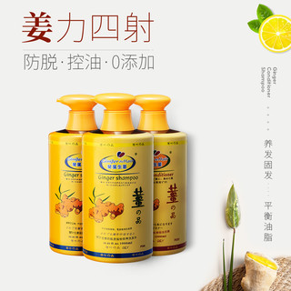 琴叶 生姜洗发水防脱控油洗护套装 老姜王大容量去屑姜汁洗发露