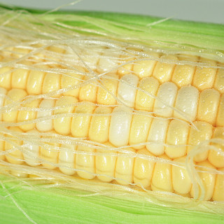 言片光 云南水果玉米 1.5kg