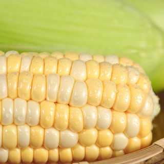 言片光 云南水果玉米 1.5kg