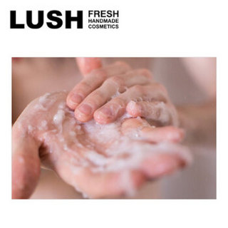 LUSH 【英国直邮】英国岚舒 BIG丰盈洗发露 海盐蓬松控油秀发亮泽洗发水 无硅油 130克