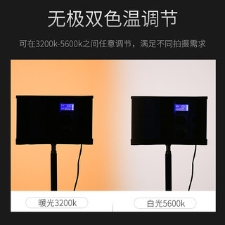 利帅 W10 摄影灯led影视灯柔光灯专业人像补光灯打光灯弧形广角灯