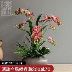 省60元 知根仿真花手感蝴蝶兰盆景盆栽花艺客厅桌面装饰花艺摆件多少钱 什么值得买