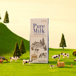新升级3.6g蛋白质 新西兰纯牛奶250ml*24