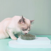 么么兽 猫薄荷粉 5g