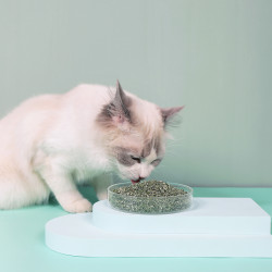 么么兽 猫薄荷粉 5g  