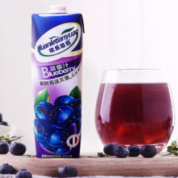 欢乐田园 蓝莓汁  1.5L*2瓶