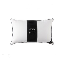 SIDANDA 90%白鹅绒枕  一只装 48*74cm