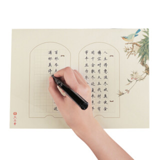 商品六品堂 48张硬笔书法纸 钢笔纸练习纸 书法比赛作品纸 练字本