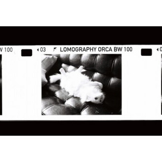 Lomography B/W Orca 110 黑白胶卷