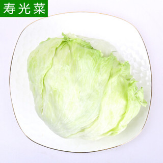 生菜价格 生菜多少钱一斤 什么值得买