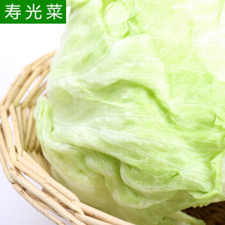 山东寿光蔬菜 家美舒达 球生菜 约800-900g 圆生菜 生菜球 寿光菜 产地直供 新鲜蔬菜