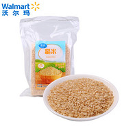 惠宜 糙米 粗粮 糙米 500g