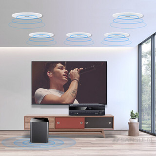 山水（SANSUI） T2家庭影院组合音响套装 吸顶音箱 电视家用蓝牙客厅吊顶音箱 8英寸无边框（功放+低音炮+5个吸顶喇叭）