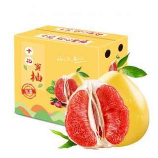 十记庄园 红柚   10斤 (净果8.5-9斤）