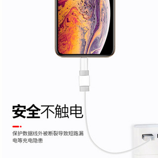 梵帝西诺【10个装】苹果数据线保护套 iphone数据线充电器保护头防折断裂保护外壳适用于苹果数据线