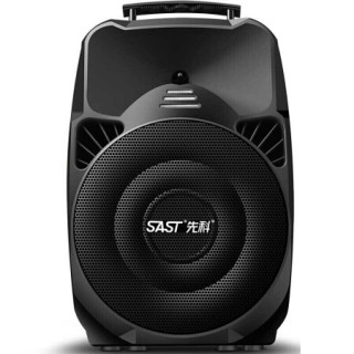先科(sast)a89wm 12英寸大功率重低音广场舞音响 移动舞台户外蓝牙