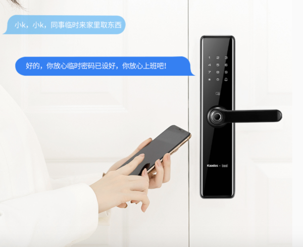 凯迪仕 TK2 智能锁 天猫精灵联合定制款