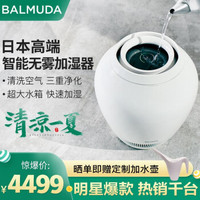 BALMUDA 巴慕达 ERN-1180SD-WK 加湿器