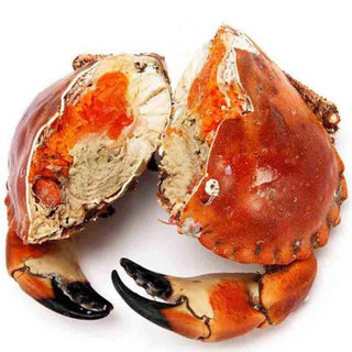 Gfresh 英国进口 鲜活面包蟹 400-600g