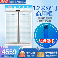 白雪 (Baixue)600升冰柜 双开门展示柜商用立式冷柜商用立式饮料冷饮冷藏柜SC-600FB