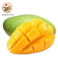 静益乐源 攀枝花凯特芒果 净重4.5-5斤单果500g+