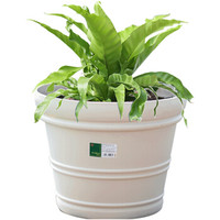 爱丽思 IRIS Valencia树脂凸纹花盆6号米白