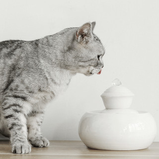 陶瓷宠物饮水机猫咪饮水机狗狗饮水器自动循环猫喝水猫碗狗碗猫咪喂水器自动喂食器 竹节黑