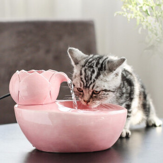 陶瓷宠物饮水机猫咪饮水机狗狗饮水器自动循环猫喝水猫碗狗碗猫咪喂水器自动喂食器 竹节黑