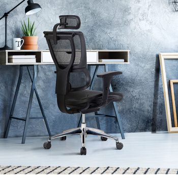 ergonor 保友办公家具 优b高配版 电脑椅 银白色(仿生网)